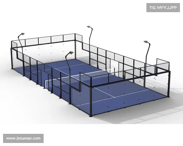 激情碰撞与智慧博弈 网球赛场上的技术与心理对决全景解析